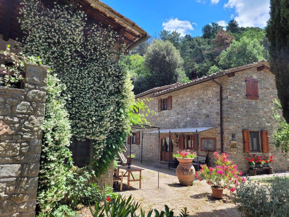 La Casa Nel Chianti Lejlighed Greve in Chianti Eksteriør billede