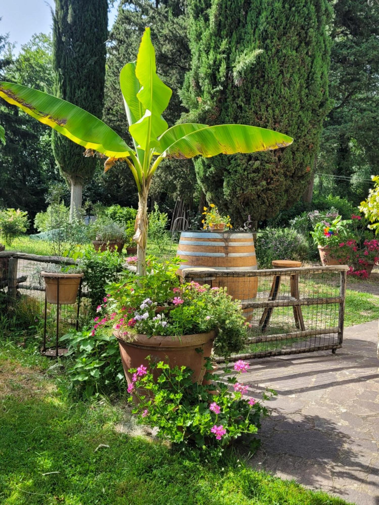 La Casa Nel Chianti Lejlighed Greve in Chianti Eksteriør billede